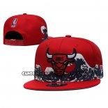 Cappellino Chicago Bulls Blu Rosso