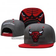 Cappellino Chicago Bulls Rosso Grigio