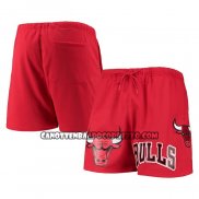 Pantaloncini Chicago Bulls Pro Standard Mesh Capsule Rosso
